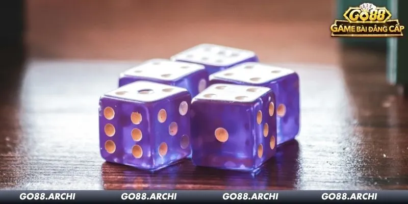 Các yêu cầu cần nắm rõ trước khi chơi tài xỉu